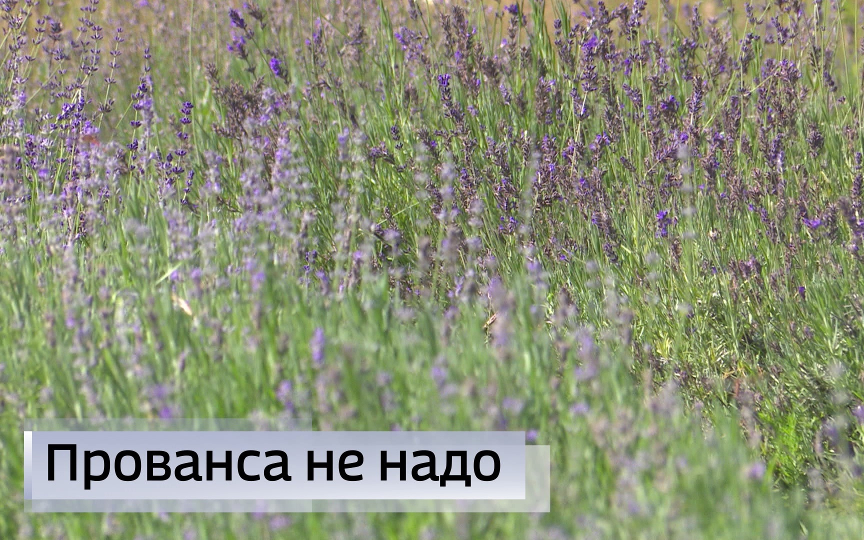 Эфир от 30.07.2026 (11:30)