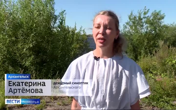 Начало августа будет тёплым