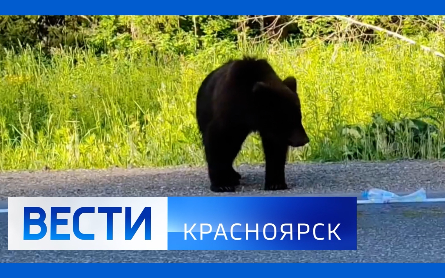 Эфир от 29.07.2026