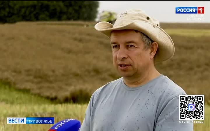 Нижегородские аграрии приступили к сбору урожая зерновых культур