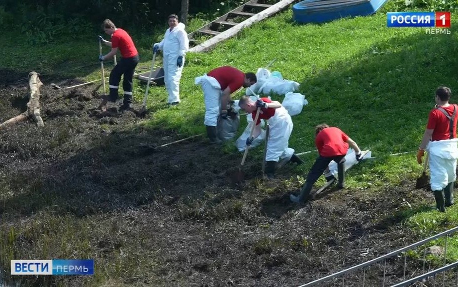 В бассейне реки Мулянки ликвидируют последствия химического загрязнения