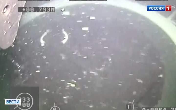 Российские и вьетнамские моряки спасли экипажи подводных лодок в Южно-Китайском море