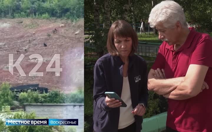 Жителей Черёмушек пугает стая бездомных собак