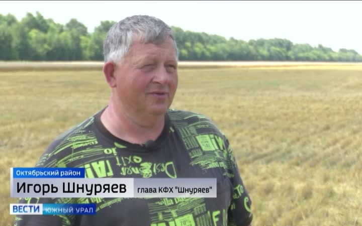 Вопреки капризам природы: Челябинская область уверенно проходит уборочную кампанию