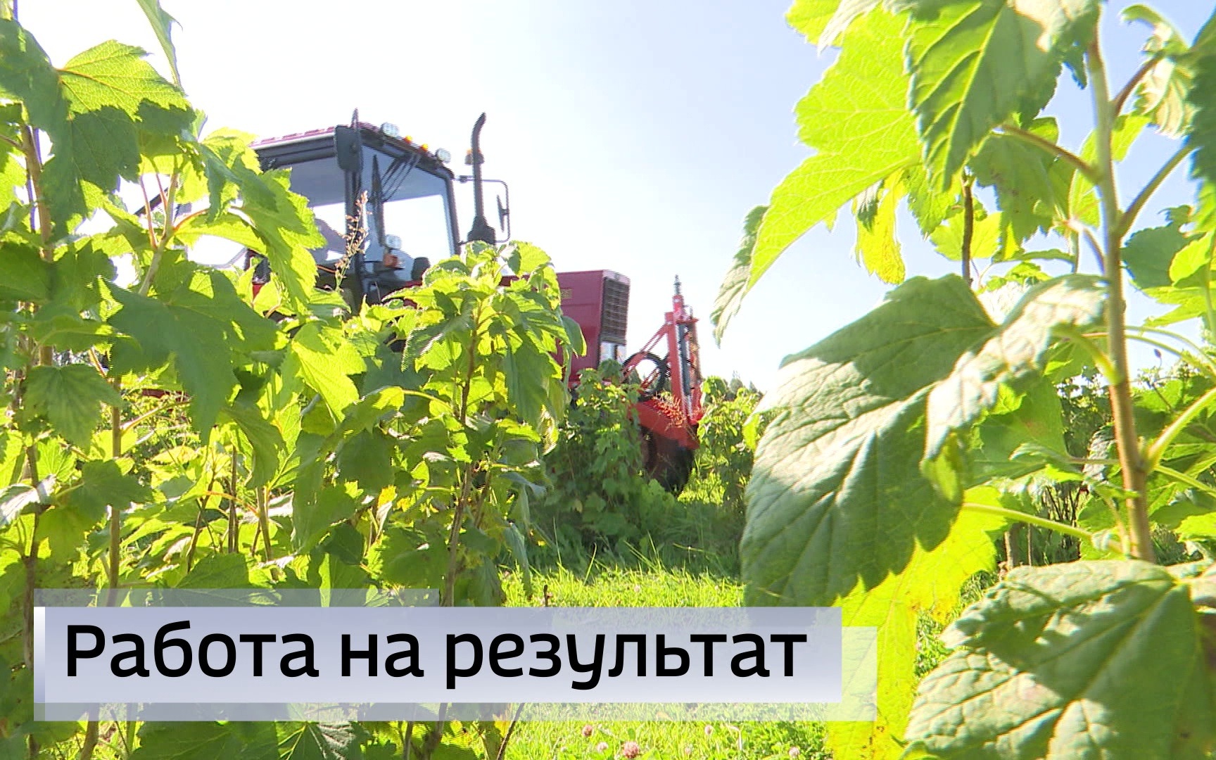 Эфир от 05.08.2026 (09:30)