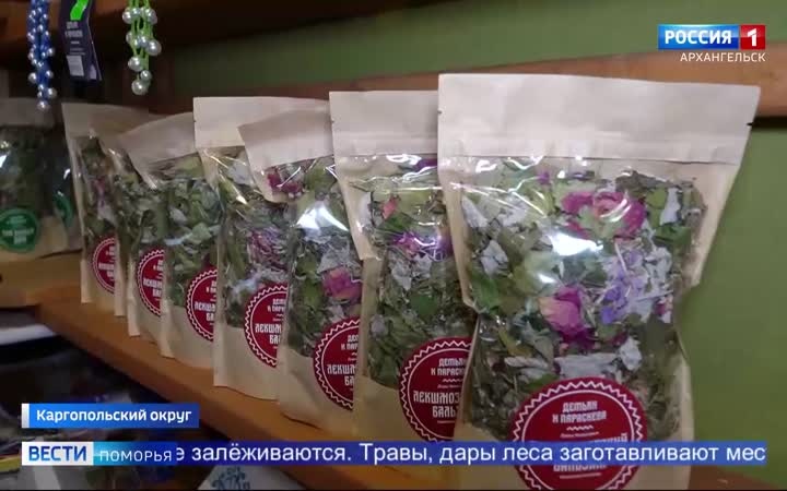 11 волонтёрских смен организовал Кенозерский нацпарк этим летом