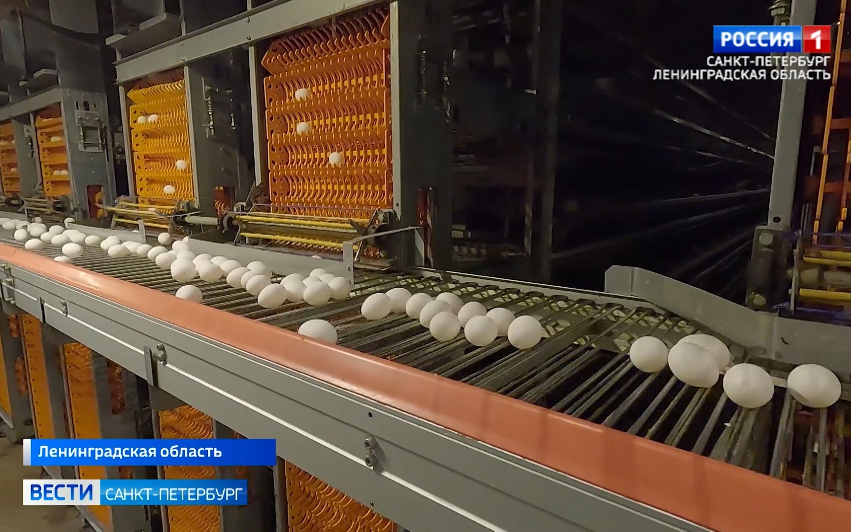 Вице-губернатор Олег Малащенко оценил продукцию Синявинской птицефабрики