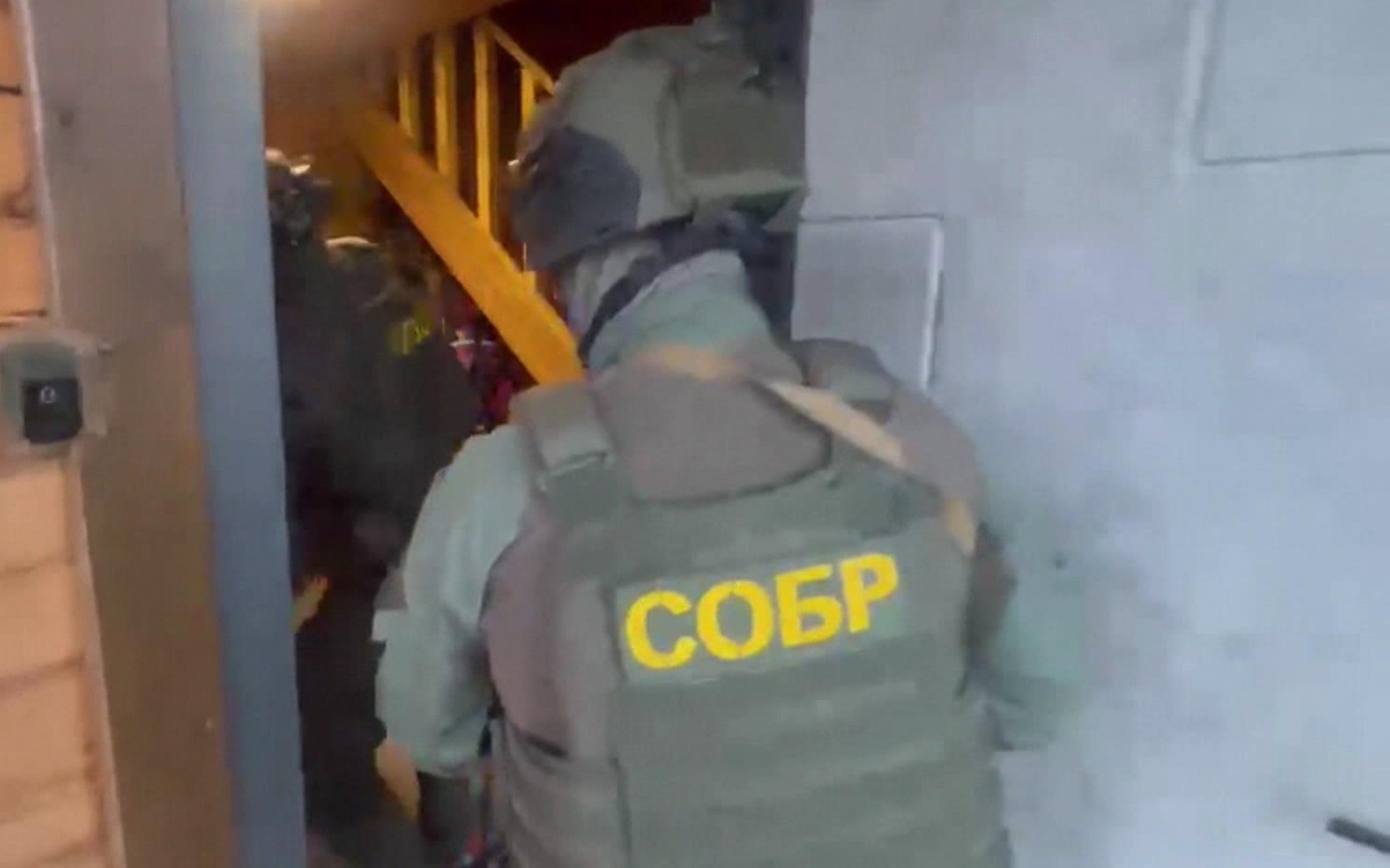 В Иркутской области задержали управленцев лесной компании за откаты на 19 миллионов рублей