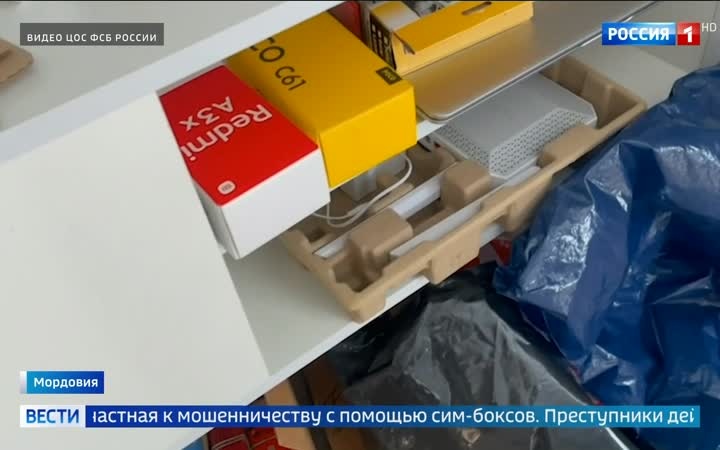 В Мордовии раскрыта группировка по мошенничеству с сим-боксами