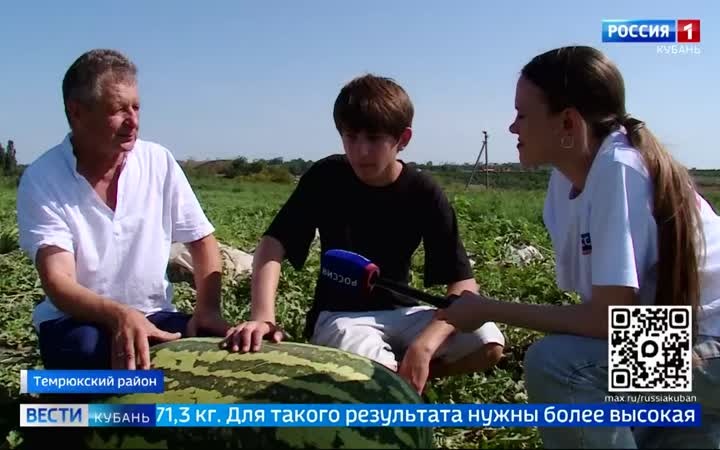 Арбуз весом почти семьдесят килограммов вырастил бахчевод из Темрюкского района