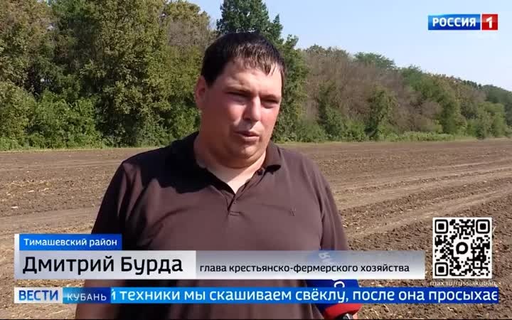 На Кубани начался сезон уборки сахарной свёклы