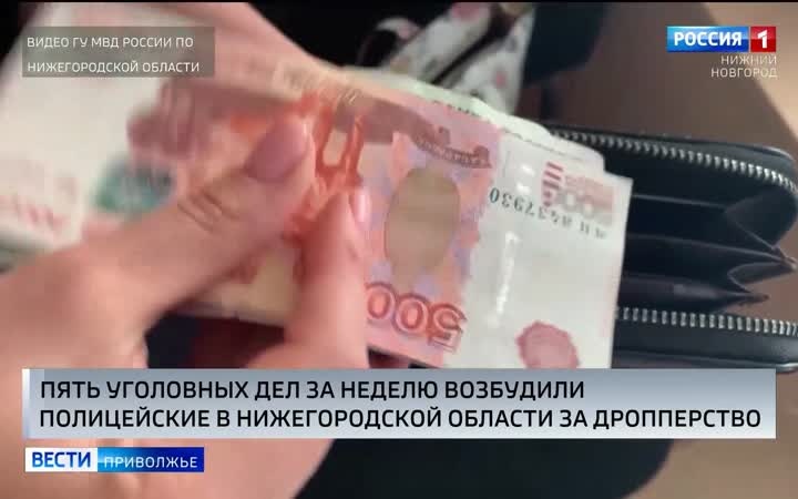 За неделю областной полицейский главк возбудил пять уголовных дел за дропперство