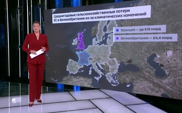 Засуха в Европе грозит потерями в аграрном секторе на десятки миллиардов евро
