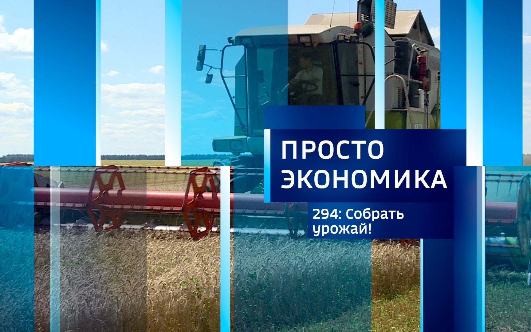 ПРОСТО ЭКОНОМИКА 294. Собрать урожай!