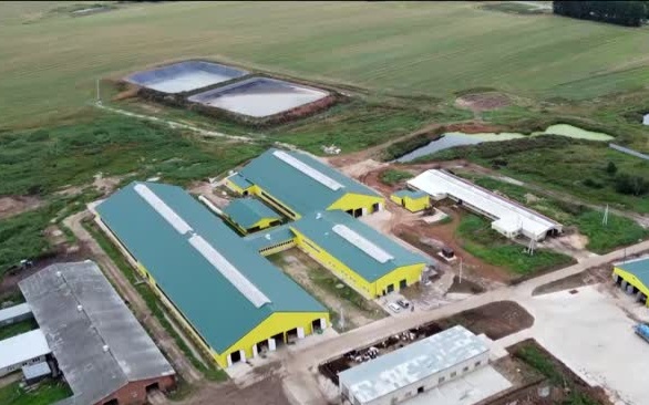 В Нижегородской области запущена современная молочная ферма, увеличивающая производство региона.