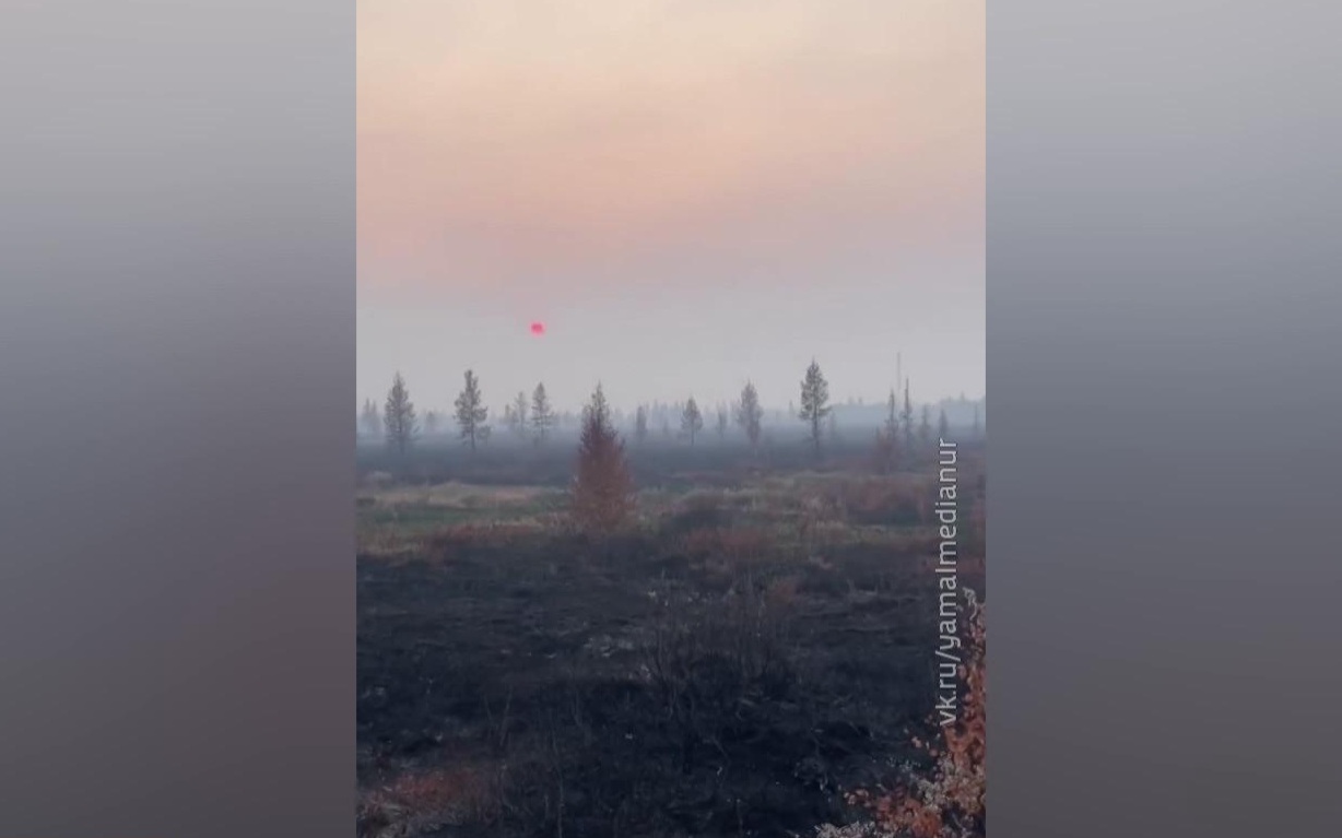 Лесные пожары на Ямале, извержение на Камчатке и паводки в регионах