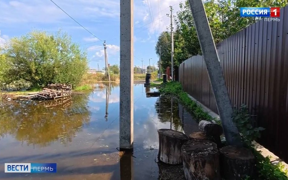 Жители Заостровки подсчитывают ущерб от потопа