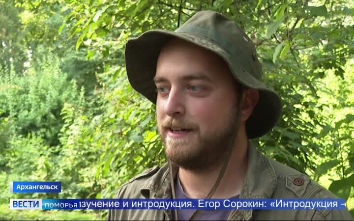 Необычные растения уже почти век выращивает дендросад САФУ