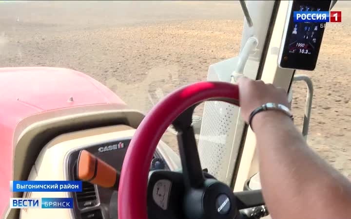 В Брянской области стартовал сев озимых культур