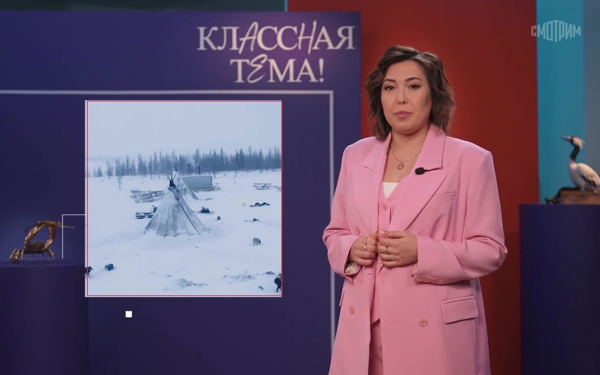 География и языки. Год единства народов