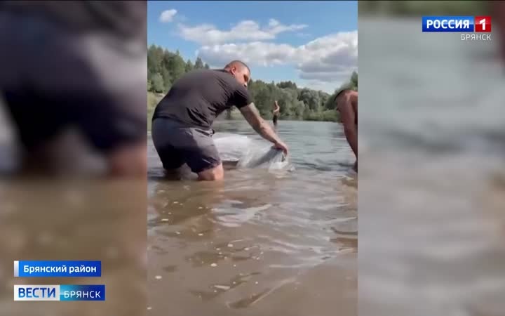 Вблизи села Хотылёво рыбаки обнаружили древнерусскую лодку