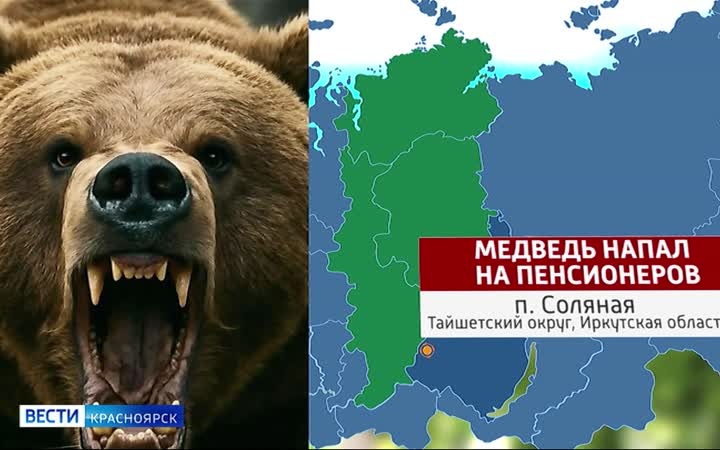 В Иркутской области двое мужчин пострадали в результате нападения медведя