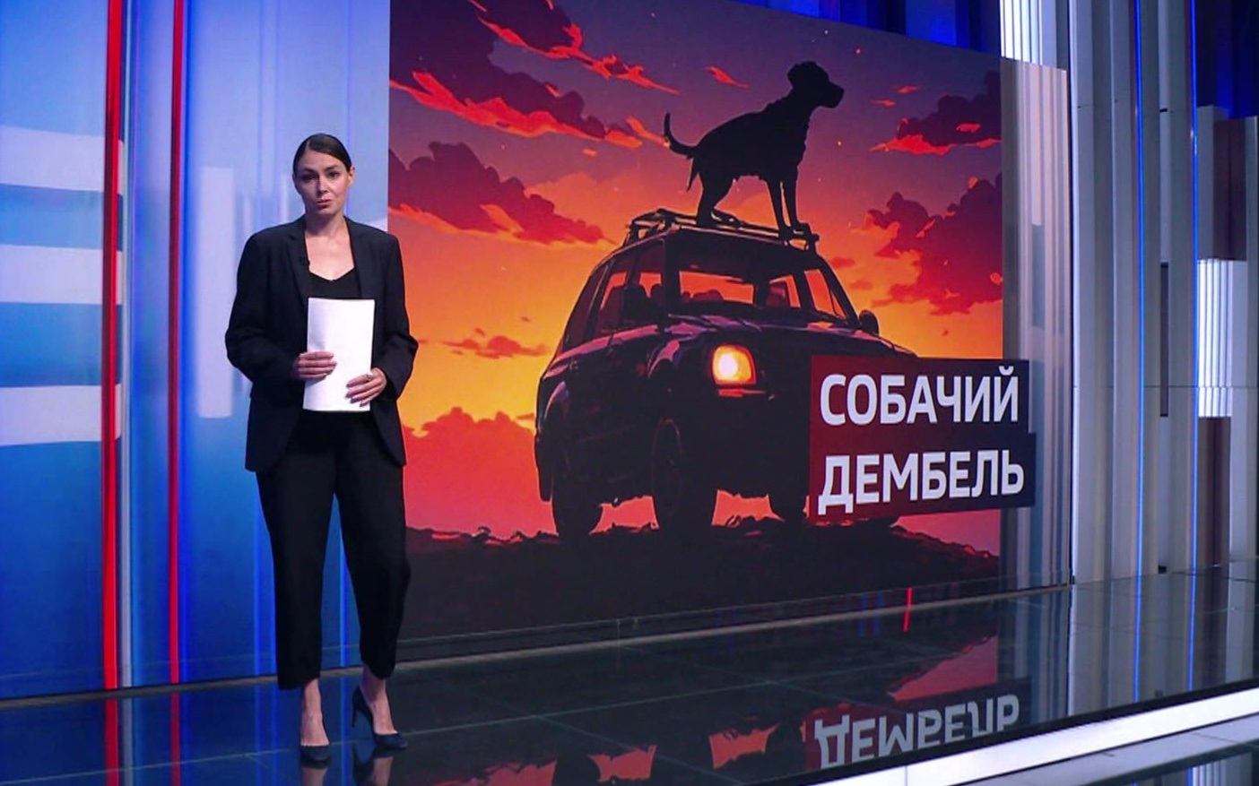Пёс-радар Папай: три ранения и служба наравне с бойцами
