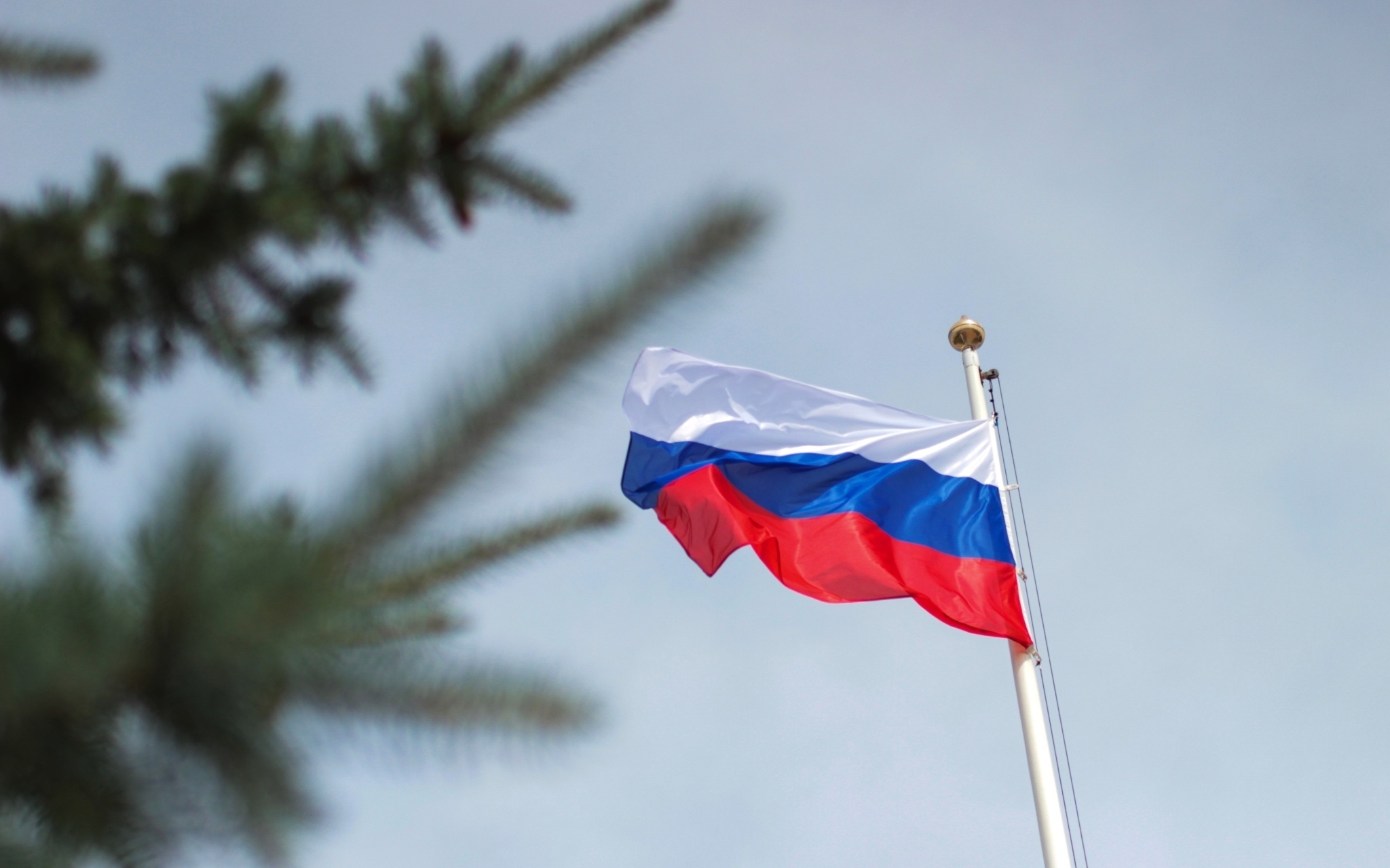 Сегодня его День Государственного флага России