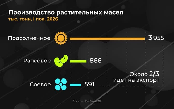 Россия в цифрах. Как увеличилось производство растительных масел?