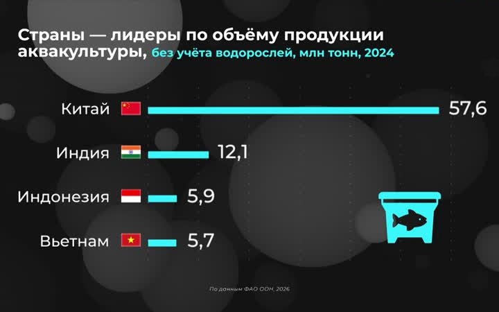 Мир в цифрах. Где развито рыбоводство?