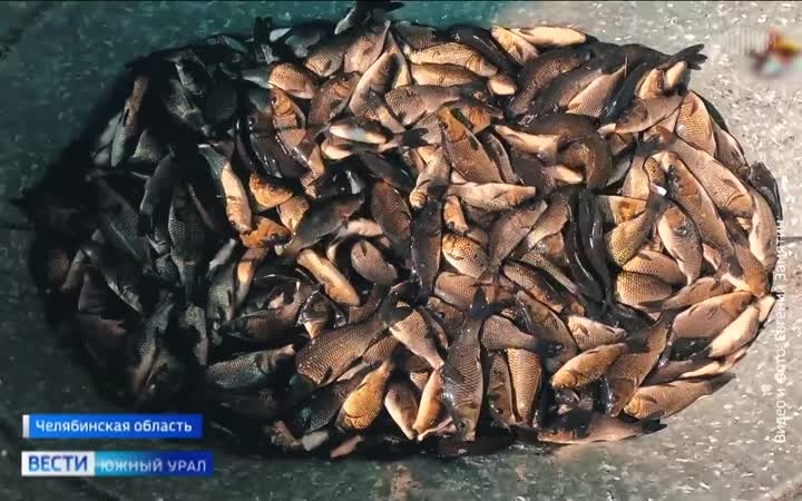 Пенсионер из Челябинской области стал популярным блогером-рыболовом