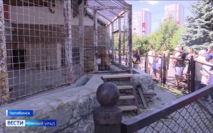 Челябинский зоопарк выпустил серию "звериных" открыток