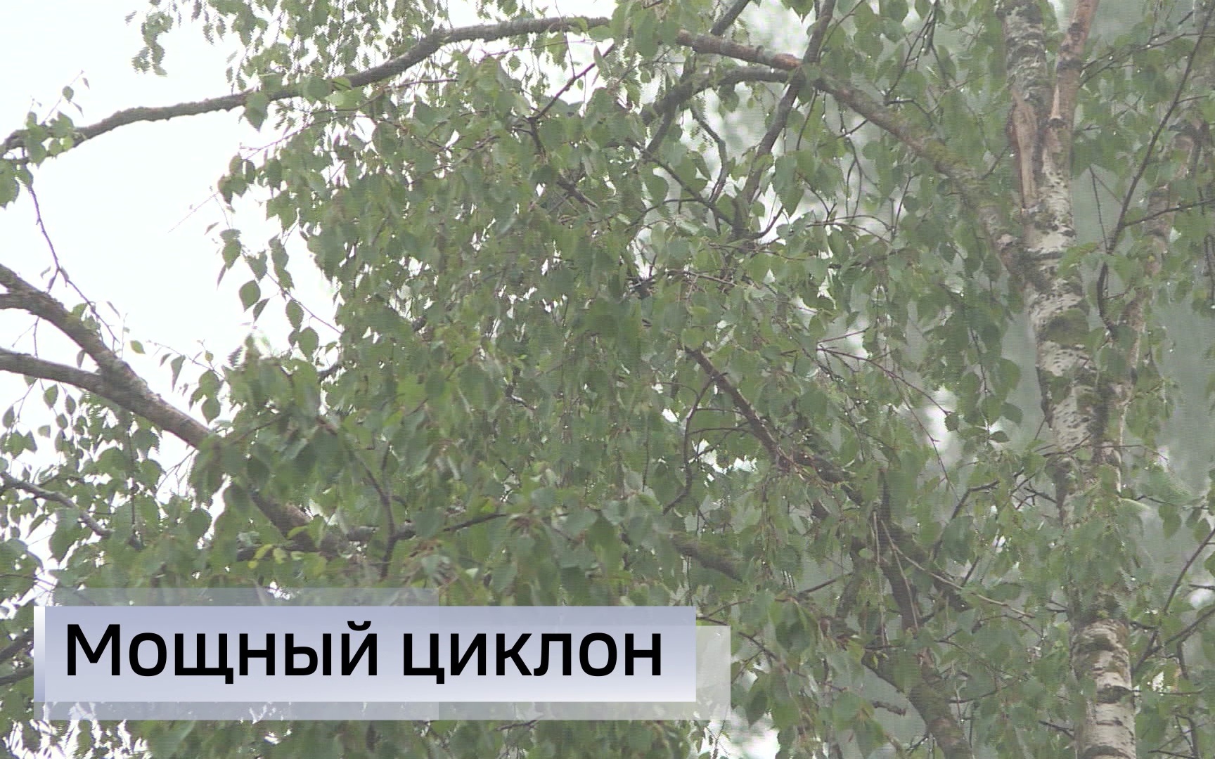 Эфир от 24.08.2026 (11:30)