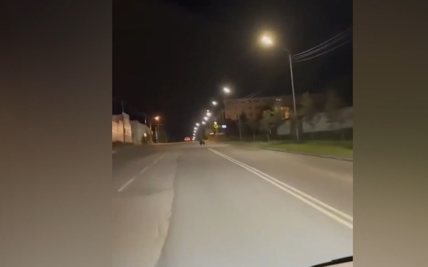 Медведь бегал по улице Кольцевой в Магадане