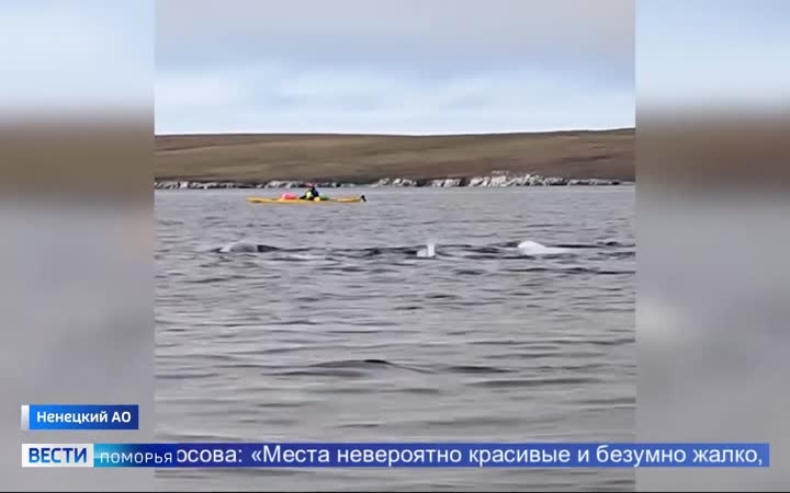 Север не прощает ошибок, но манит суровой красотой