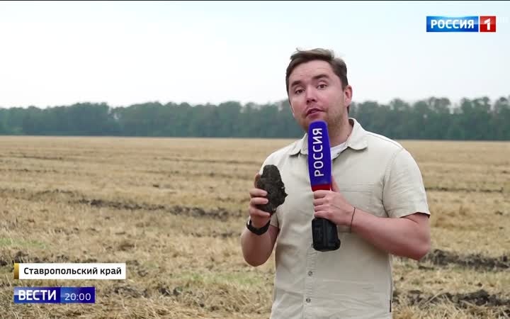 "Ставрополье побило рекорды: рекордный урожай и экспорт саженцев"
