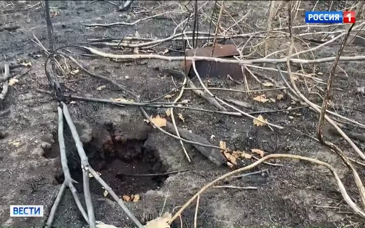 Новые подробности освобождения Неженки в Запорожской области