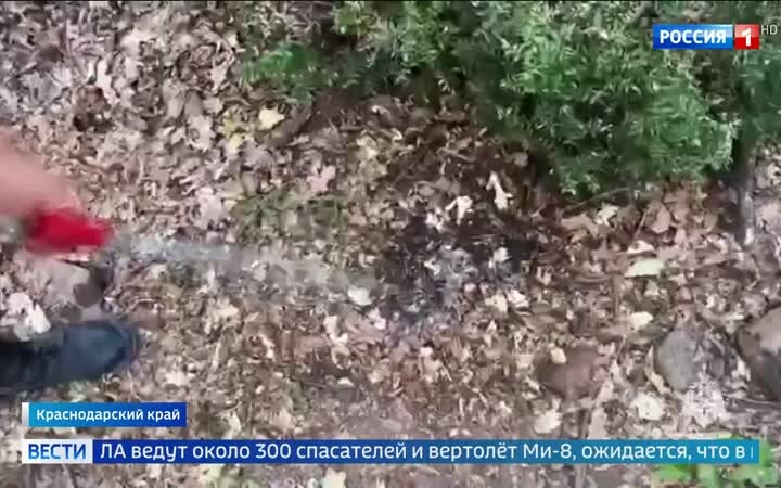 Пожар в заповеднике "Утриш" сократился, но тайга в Красноярском крае продолжает гореть.