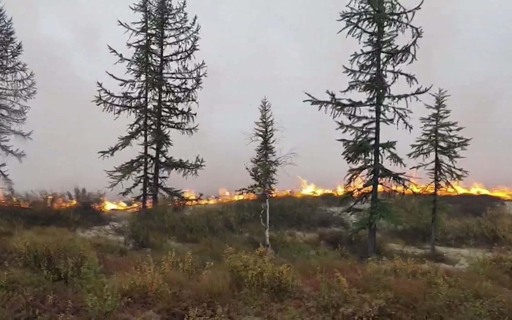 Огненное бедствие на Ямале: площадь лесных пожаров превысила 400 тысяч гектаров