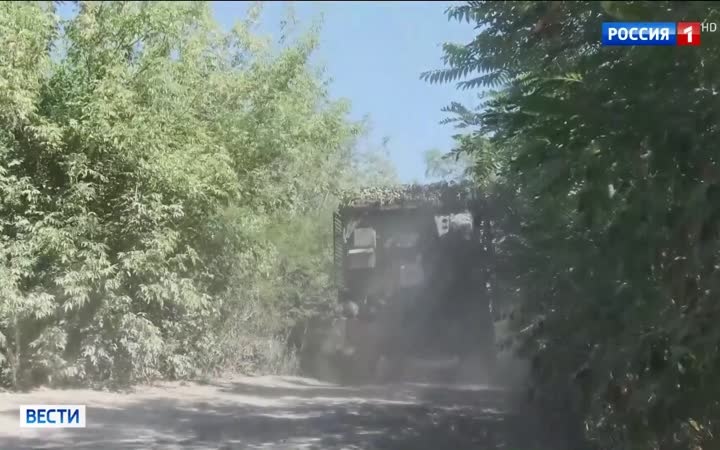 День военного медика