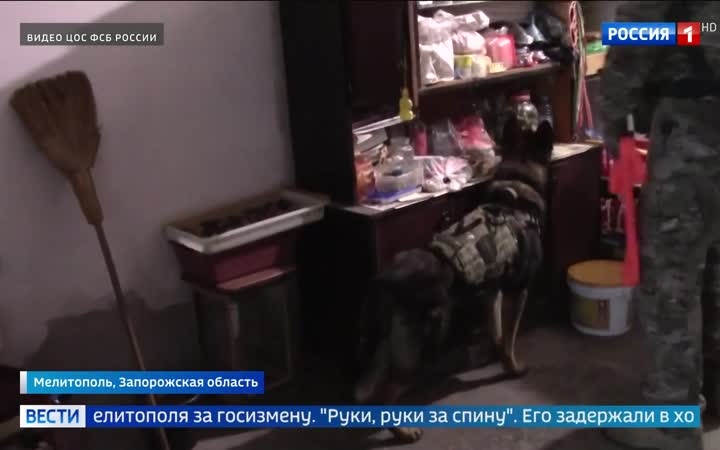 К 24 годам колонии строгого режима приговорили жителя Мелитополя за госизмену