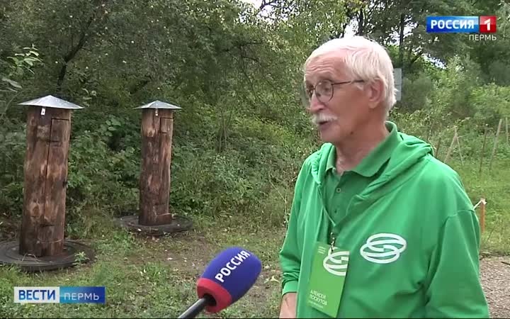 В долине реки Егошихи установили колоды для пчёл