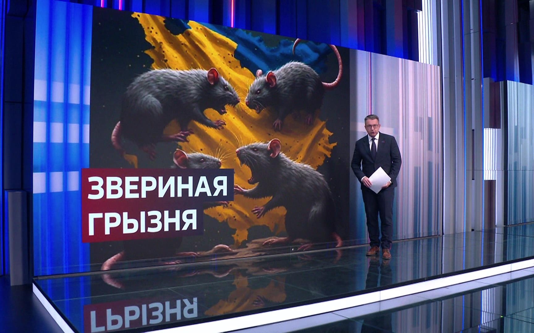 Вооруженный хаос в Киеве: почему СБУ и ГУР устроили перестрелку из-за боевика РДК