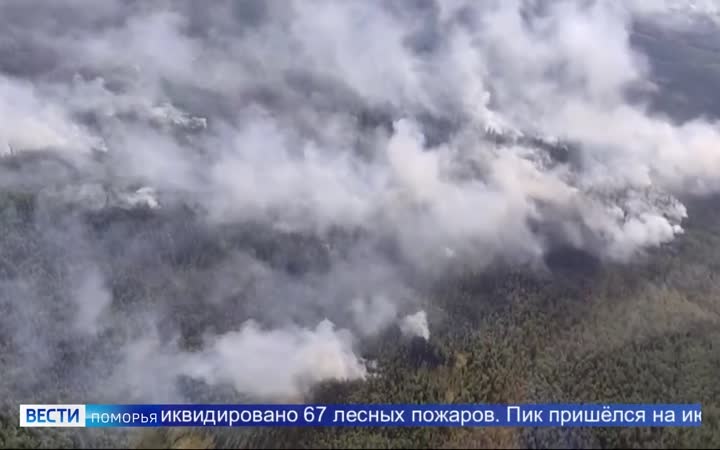 В сентябре значительных рисков возникновения лесных пожаров в регионе не прогнозируется