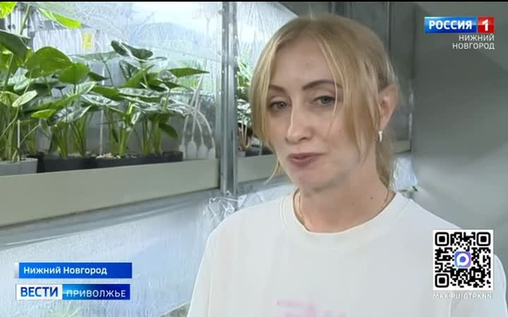 Клонированием растений занялась жительница Канавинского района