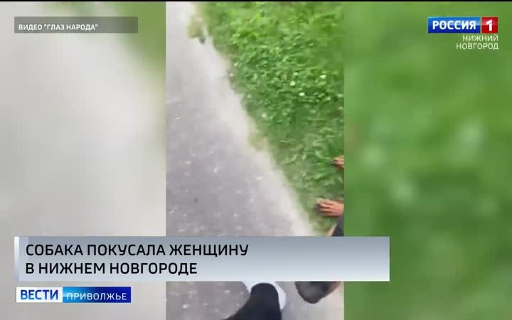 На Волжской набережной в Нижнем Новгороде, у дома номер 23, на женщину напала собака