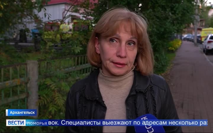 Бродячие собаки в областном центре стали поводом для беспокойства горожан