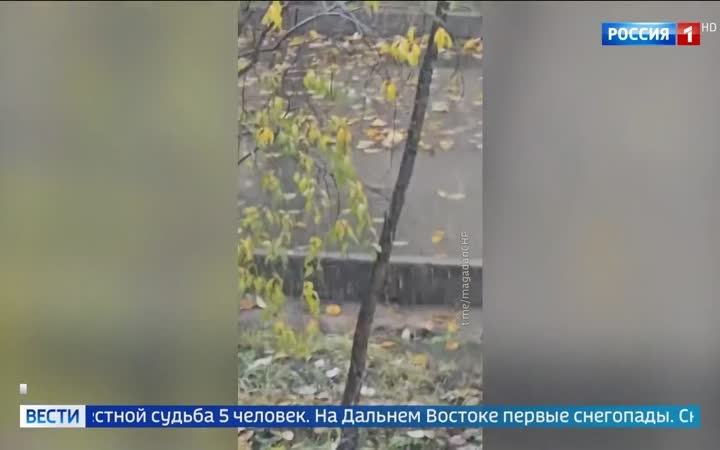 Эфир 08.09.2026 · 11:00