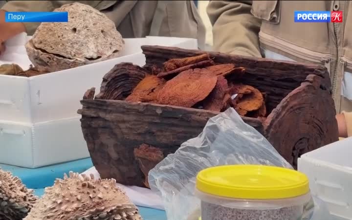 Перуанские археологи обнаружили усыпальницу, относящуюся к доколумбовой культуре Чиму