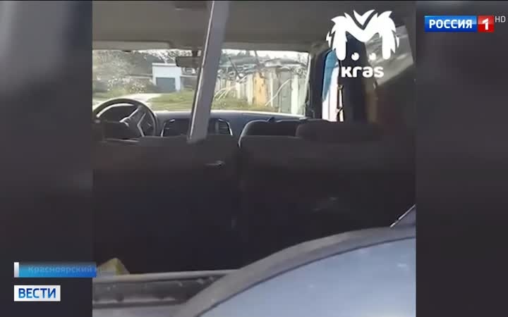 "Медвежья опасность: режим повышенной готовности в шести регионах Сибири и Дальнего Востока"